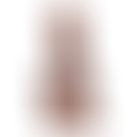 Mr Intense 2 Pene Realístico 16 cm Curvo