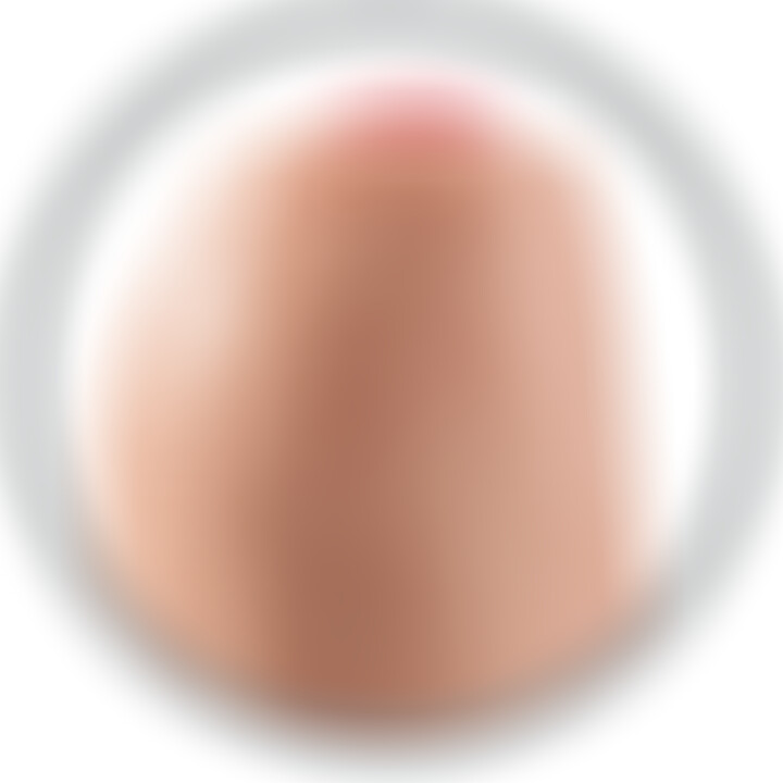 Arnés con Pene Realístico Uncut 19 cm