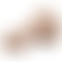Fleshjack Boys Allen King Dildo Silicona