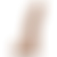 Fleshjack Boys Allen King Dildo Silicona