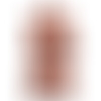 Perfect 10 Torso Caramelo