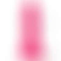 R12 Rosa