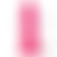 R12 Rosa