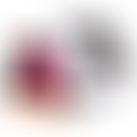 R12 Rosa