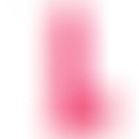 R16 Rosa