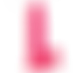 R16 Rosa