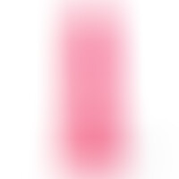 R16 Rosa