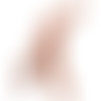 Doble Dong 14 Flesh