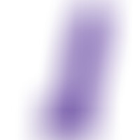 Pene Realístico Morado XL