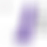 Pene Realístico Morado XL