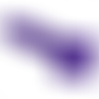 Pene Realístico Morado XL