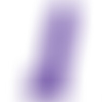 Pene Realístico Morado L