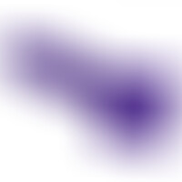 Pene Realístico Morado L