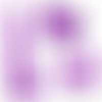 Queen Size 30,5 cm Morado