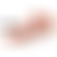 Vibrador Realístico R6 24,5 cm Control Remoto