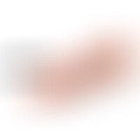 Vibrador Realístico R2 21 cm Control Remoto