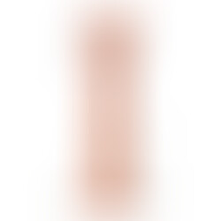 Vibrador Rotador Realístico R8 21 cm Control Remoto