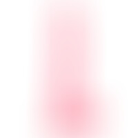 Queen Dildo Rosa 25,5 cm