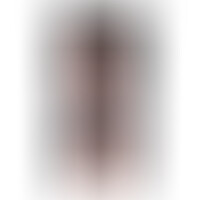Pene Realístico 21 cm