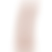 Pene Realista 20,5 cm