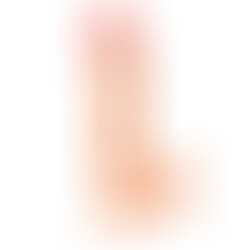 Pene Realista The Super 29 cm