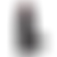 Pene Realista Negro Colossus 26 cm