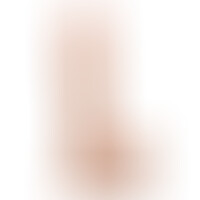 Don Juan Real Pene 20 cm