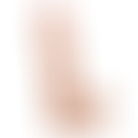 Don Juan Real Pene 15 cm