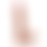 Don Juan Real Pene 15 cm