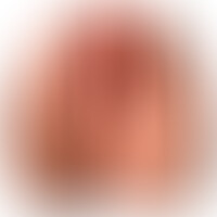 Email Vagina y Ano Súper Realista