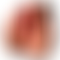 Email Vagina y Ano Súper Realista
