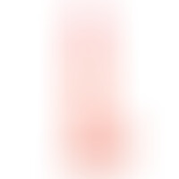 Slidy Dildo Realista Dual Layer Retráctil 9 Natural
