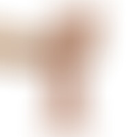 Dildo Realista Dual Layer 8,5 Natural