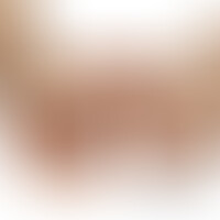 Dildo Realista Dual Layer 8,5 Natural
