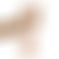 Dildo Realista Dual Layer 8,25 Blanco