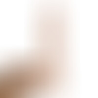Dildo Realista Dual Layer 8,25 Blanco