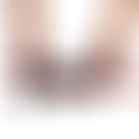 Slidy Dildo Realista Dual Layer Retráctil 8 Marrón
