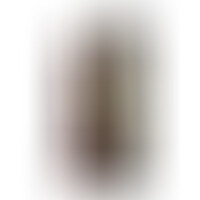 Slidy Dildo Realista Dual Layer Retráctil 8 Marrón