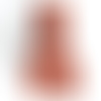 Anne Vagina y Ano Súper Realista