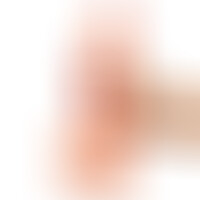 Dildo Realista Dual Layer Retractil 8.7 Natural