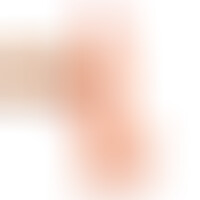 Dildo Realista Dual Layer Retractil 8.7 Natural
