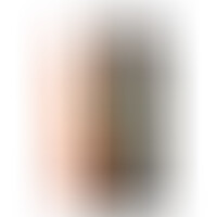 Dildo Realista Dual Layer Retractil 8.7 Natural