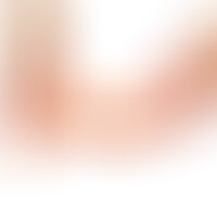 Dildo Realista Dual Layer Retráctil 12 Natural