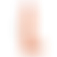 Dildo Realista Dual Layer Retráctil 12 Natural