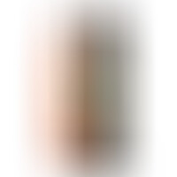 Dildo Realista Dual Layer Retráctil 12 Natural