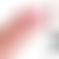 Wolf Dildo Triple Densidad 7 Natural
