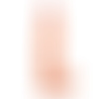 Dildo Realista Dual Layer Retráctil 12 Natural