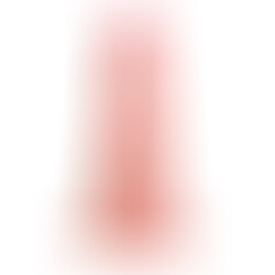 Karl Dildo Triple Densidad 6 Natural