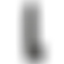 Dildo Model 1 38 cm Negro