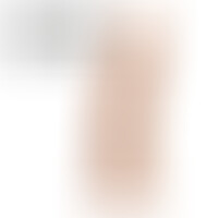 Dildo Model 2 23 cm Flesh